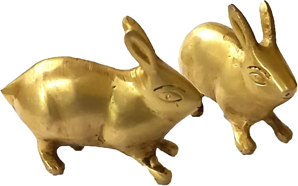 PARIJAT HANDICRAFT A Pair of Brass Rabbit Statue Decorative Animals for Home and Office Chinese f... | Amazon (US)