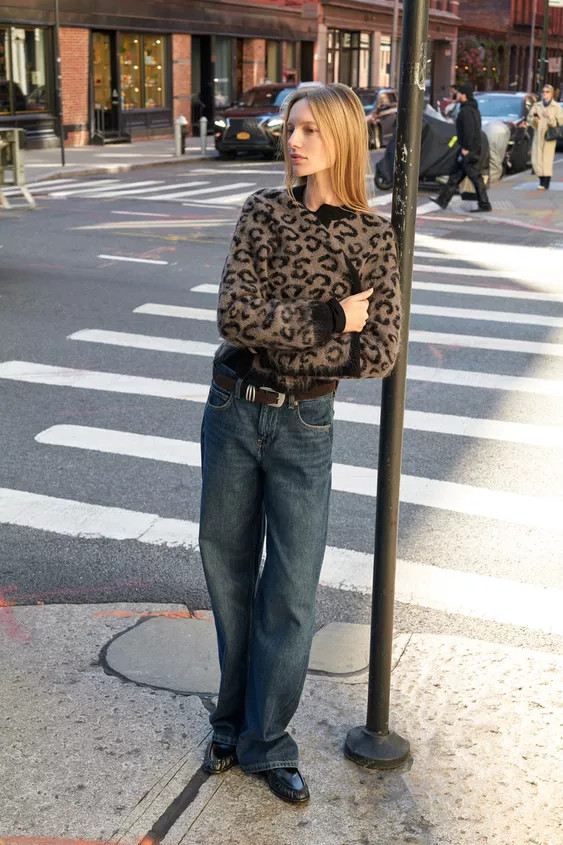 ANIMAL JACQUARD KNIT CARDIGAN | Zara US