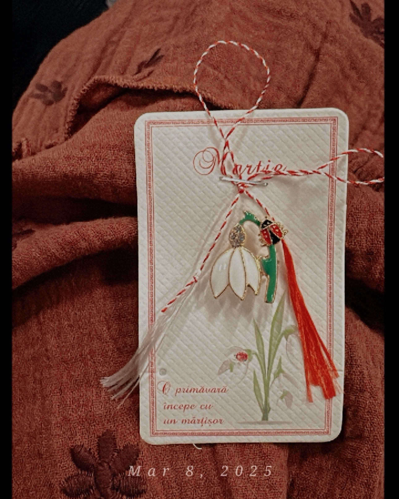 Happy International Women’s Day to all the lovely ladies!! March 8th was such a beautiful and special holiday growing up back in my home county. Our tradition was to wear these spring symbols from March 1st to March 8th. 

#LTKStyleTip 

#LTKBeauty #LTKSeasonal #LTKSpringSale #LTKstorytime #LTKdayinmylife