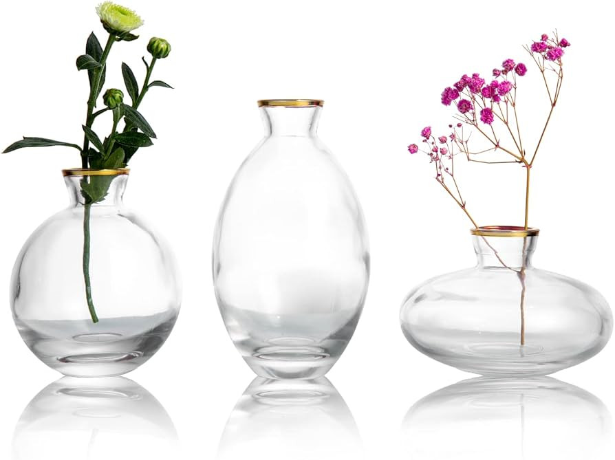 Gold Rim Glass Bud Vase, 3Pcs/Set Modern Decorative Small Mini Flowers Vases Short Minimalist Aes... | Amazon (US)