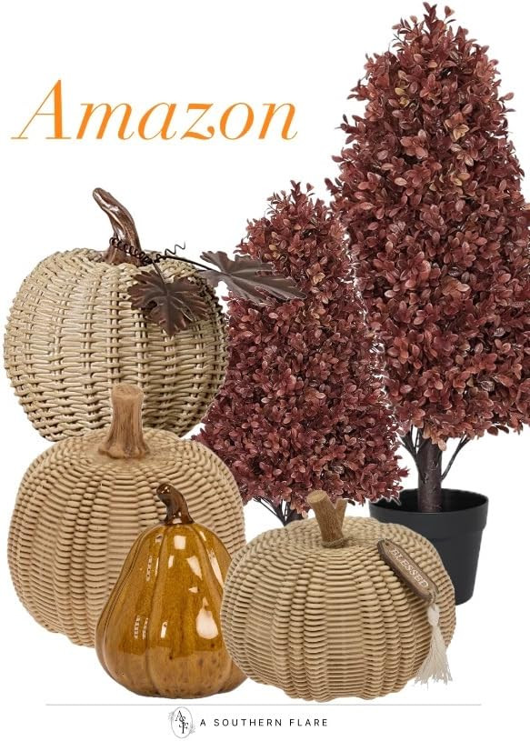 A Southern Flare Home's Amazon Page | Amazon (US)