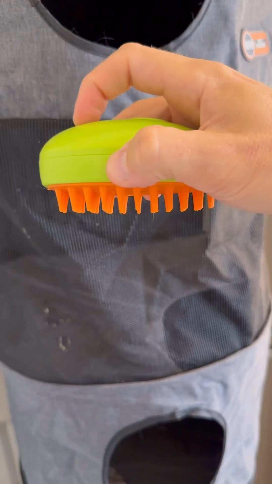 Amazon Favorites, amazon finds, amazon must haves, amazon essentials, amazon under $50, amazon under $100, amazon pets, amazon made me buy it, found it on amazon 

#LTKhome #LTKfindsunder50 #LTKVideo