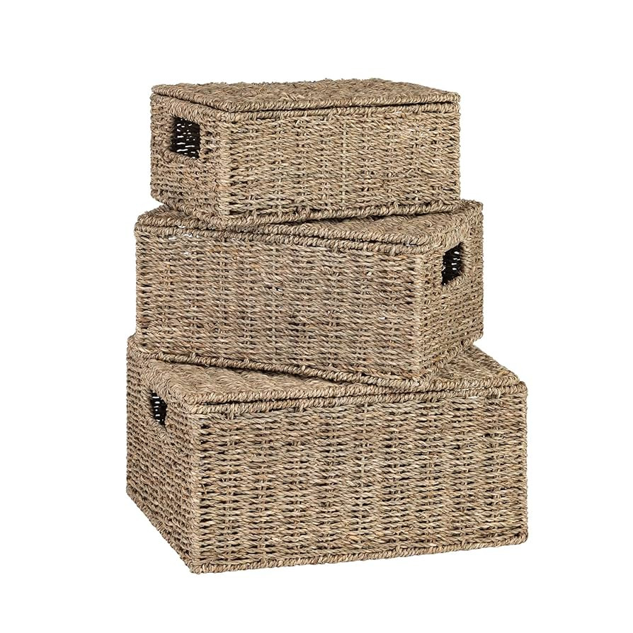 Wicker Storage Baskets with Lid, Hand-Woven Rectangular Wicker Basket with Lid for Bedroom & Livi... | Amazon (US)