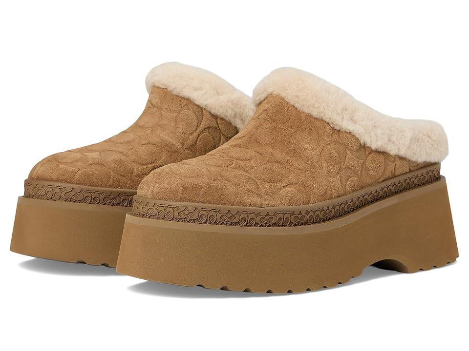 COACH Cecelia Clog In Signature Suede Women's Slippers Tobacco : 8 B - Medium, EVA/Shearling/Suede | Zappos