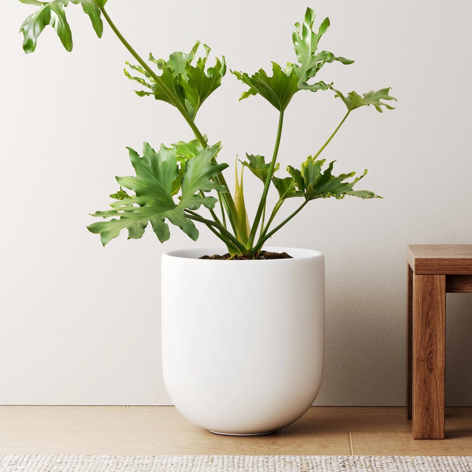 BEMAY 10" Ceramic Plant Pots, Indoor Planter with Drainage Hole & Plug, Ceramic Planter for Outdo... | Walmart (US)