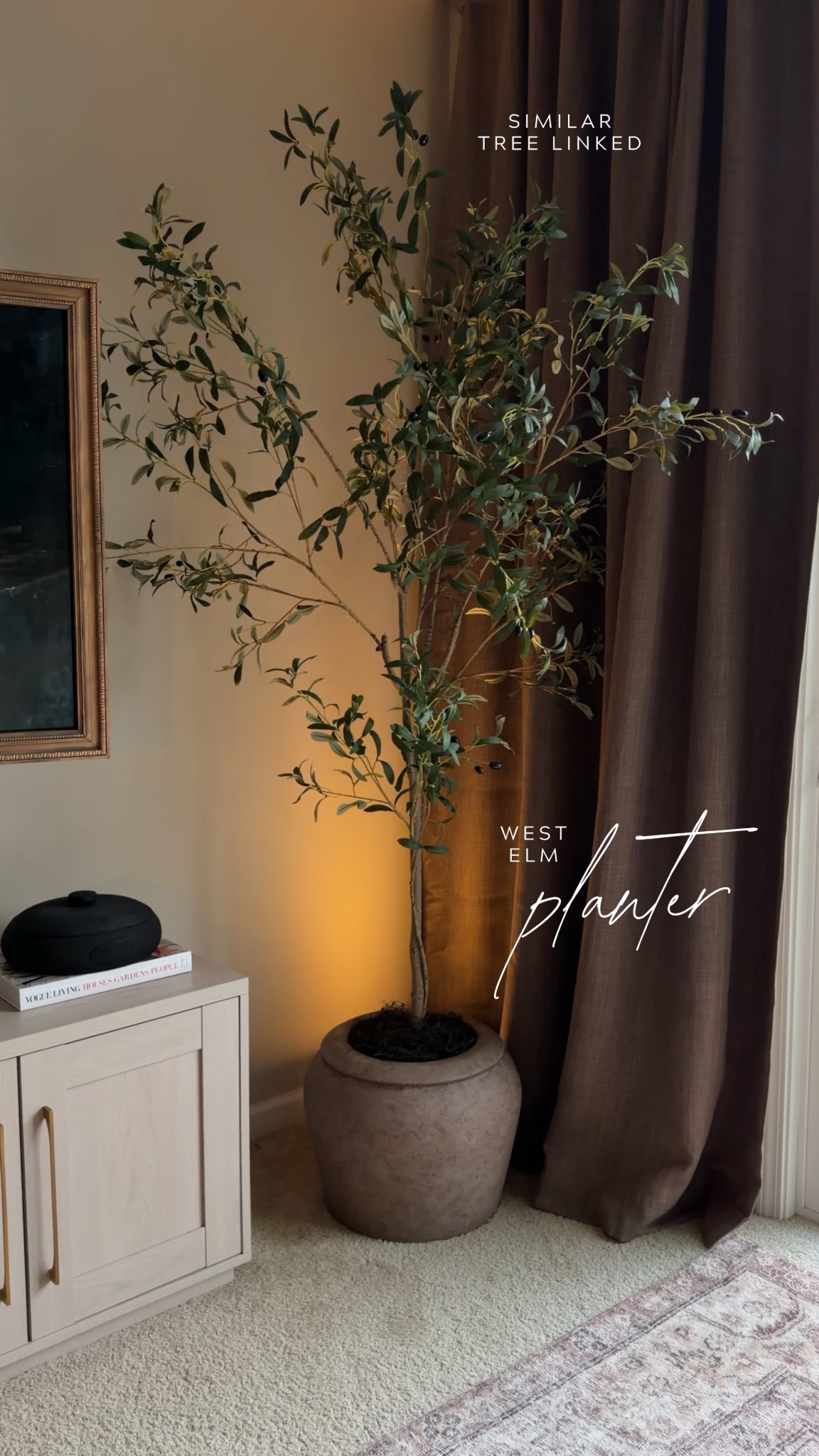 Tree corner of my living room [similar tree linked] 🪴

#LTKdayinmylife #LTKSpringSale #LTKHome