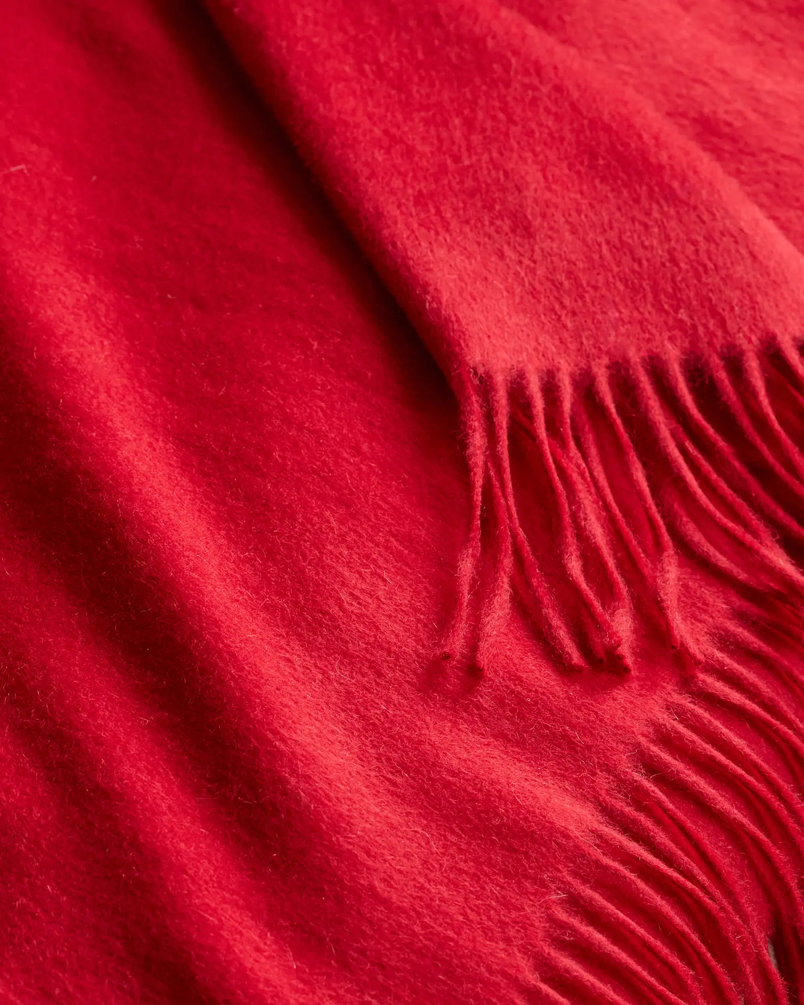 Mongolian Cashmere Throw | Quince