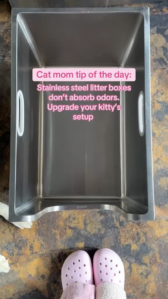 cat mom tip: always get stainless steel 

 #LTKdayinmylife #LTKHome #LTKSaleAlert