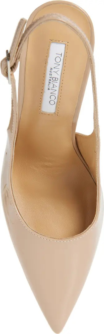 Asti Slingback Pointed Toe Pump (Women) | Nordstrom