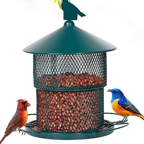 Mosloly Metal Bird Feeders Outside Hanging for Wild Birds, 7Lbs, Large Cardinals/Bluebird Mesh Bi... | Amazon (US)