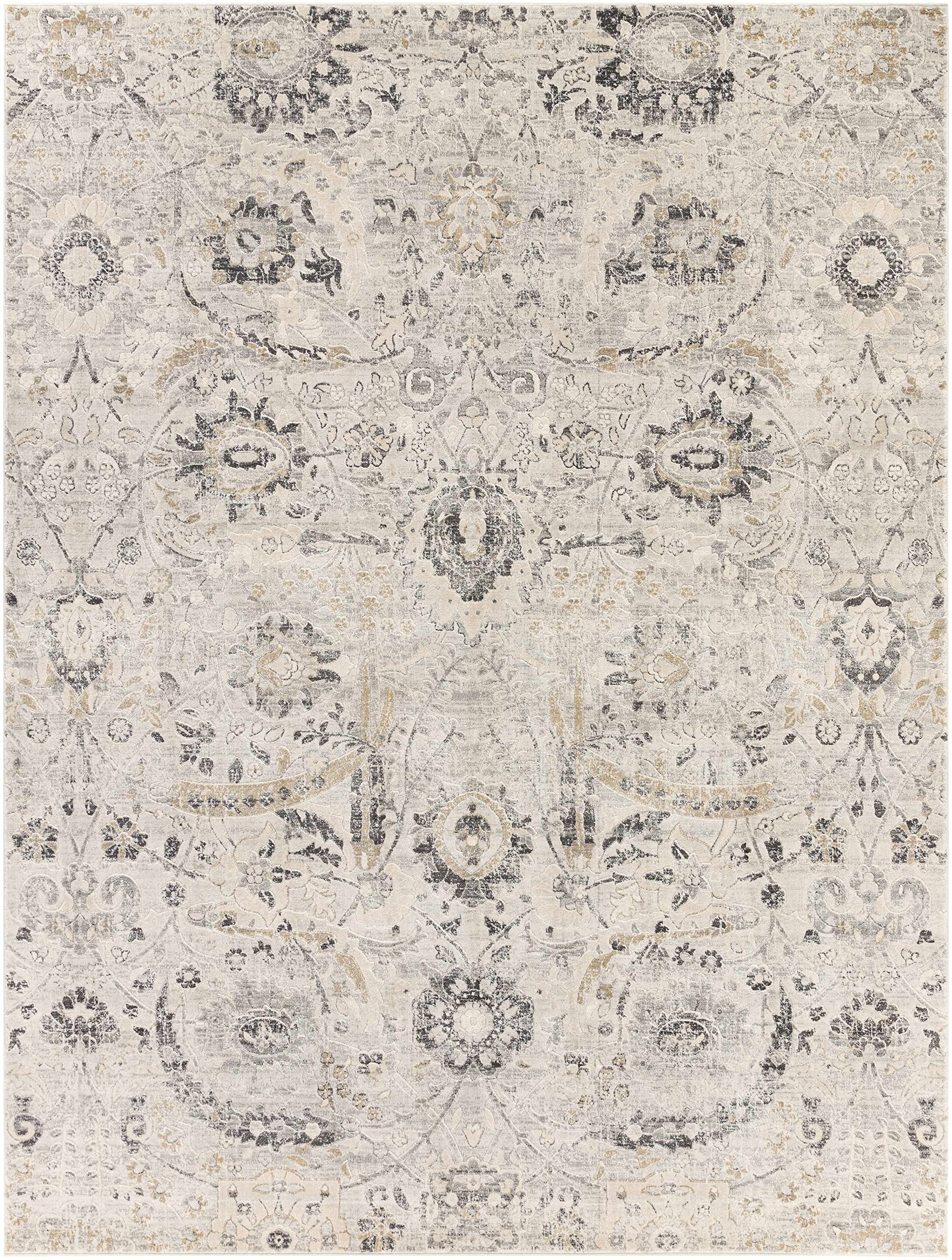 Hauteloom Sunnyside Rustic Farmhouse Living Room Bedroom Dining Room Area Rug - Persian Style - T... | Amazon (US)