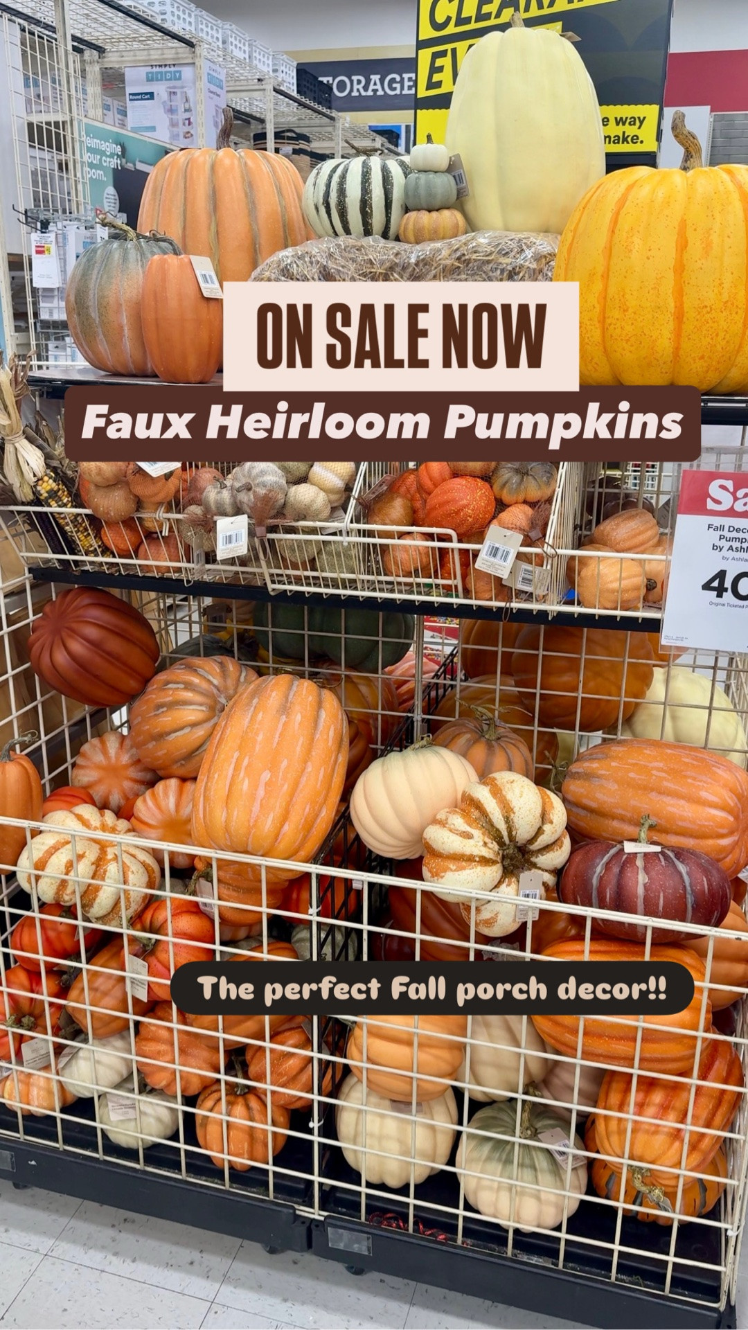 🍂 Faux Heirloom Pumpkins are ON SALE and they’re so good this year!

If you’re decorating your fall front porch, front steps, entryway, or creating that cozy McGee & Co, Studio McGee, Pottery Barn, or Amber Interiors inspired look, these realistic faux pumpkins are some of my favorite affordable finds. They come in beautiful heirloom shapes, soft neutral tones, and classic fall colors that can be reused year after year.

🍁 Shop my favorite:
• Faux heirloom pumpkins
• Neutral pumpkins
• White pumpkins
• Velvet pumpkins
• Fall porch decor
• Outdoor fall decorations
• Autumn home decor

Save this for your fall decorating inspiration and shop everything through my LTK before the best styles sell out! 🧡

#LTKSaleAlert #LTKHome #LTKSeasonal