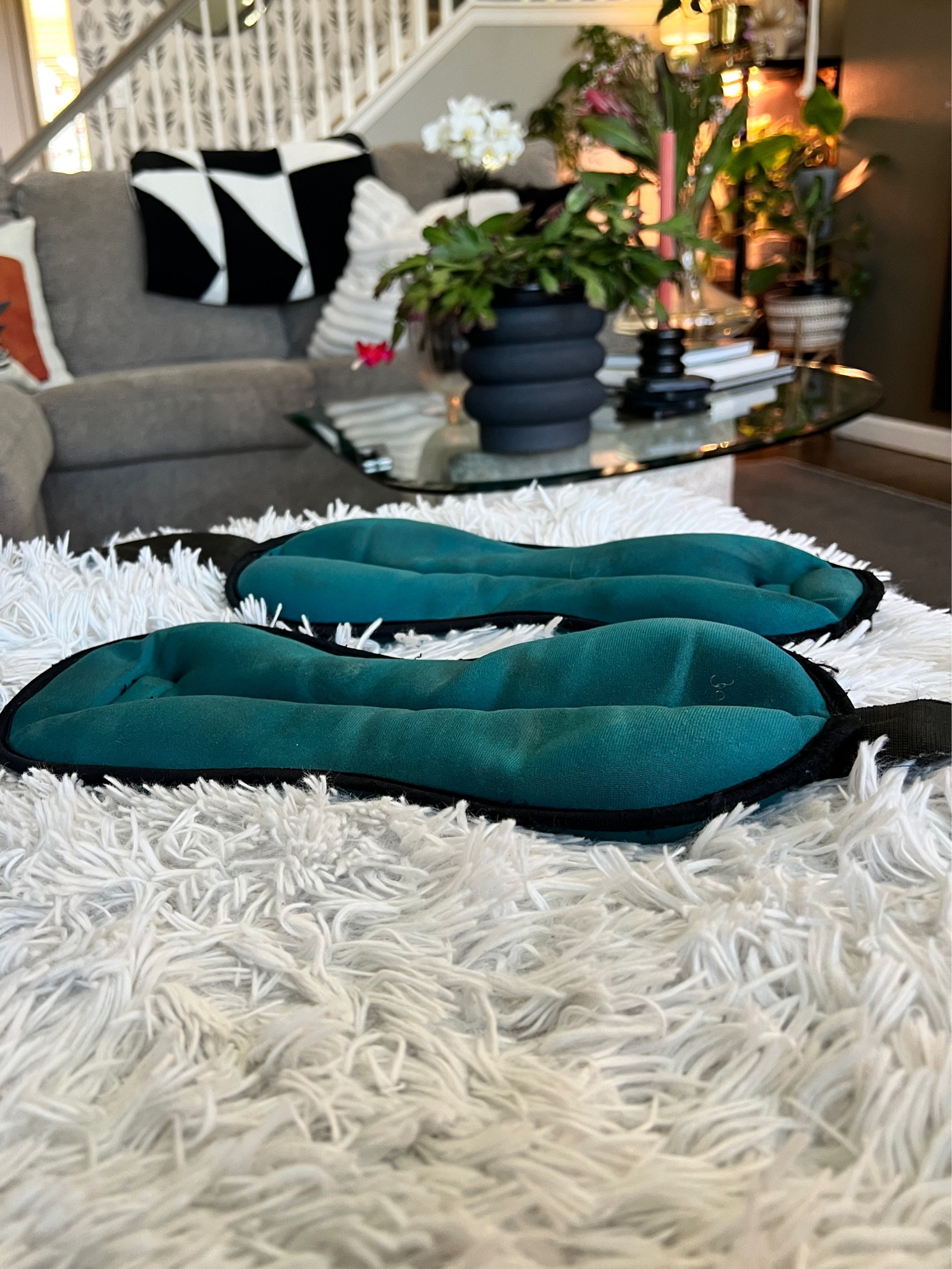 Finally reaching a point where the ankle weights don’t feel like an extra workout when I walk my dog 

#LTKfitness #LTKActive