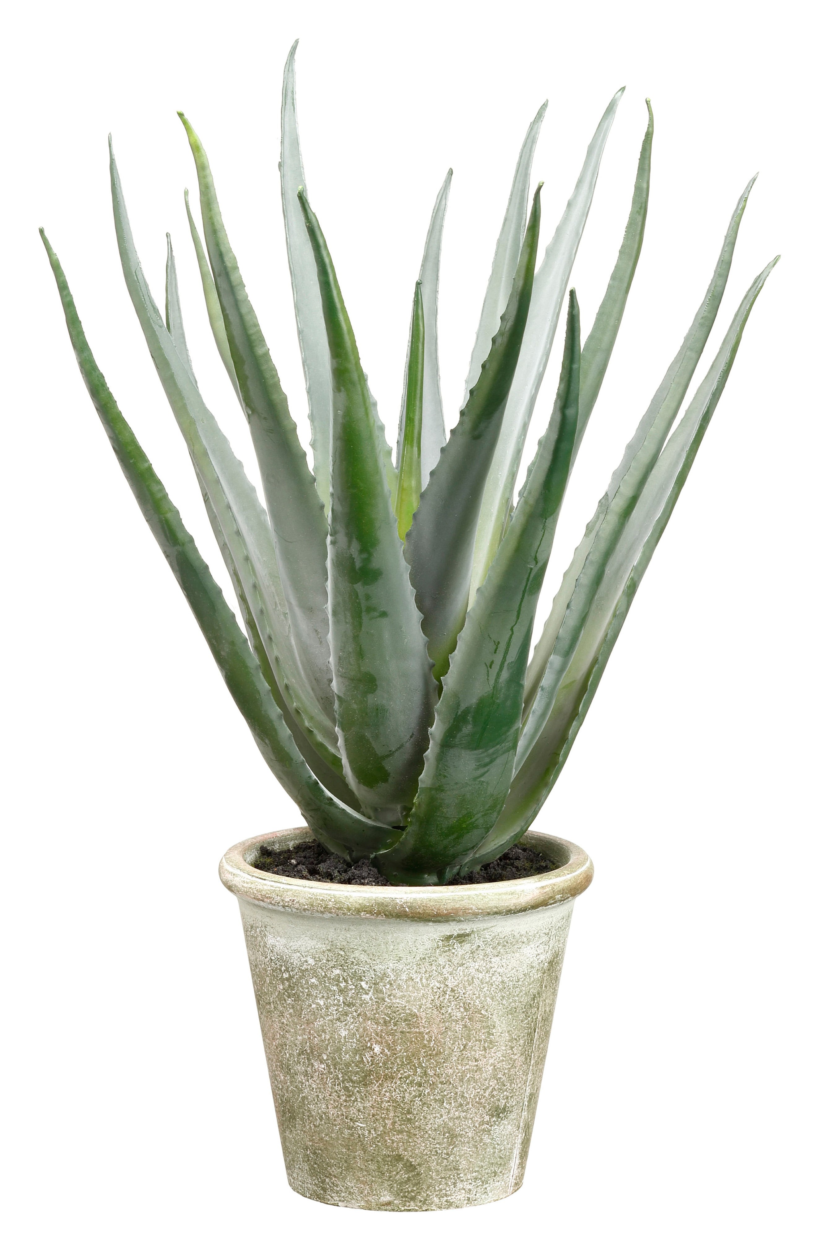 ALLSTATE Agave Pot Decoration | Nordstrom