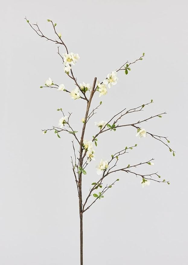Artificial Flowers | Cream Artificial Blossom Branch - 57" | Amazon (US)
