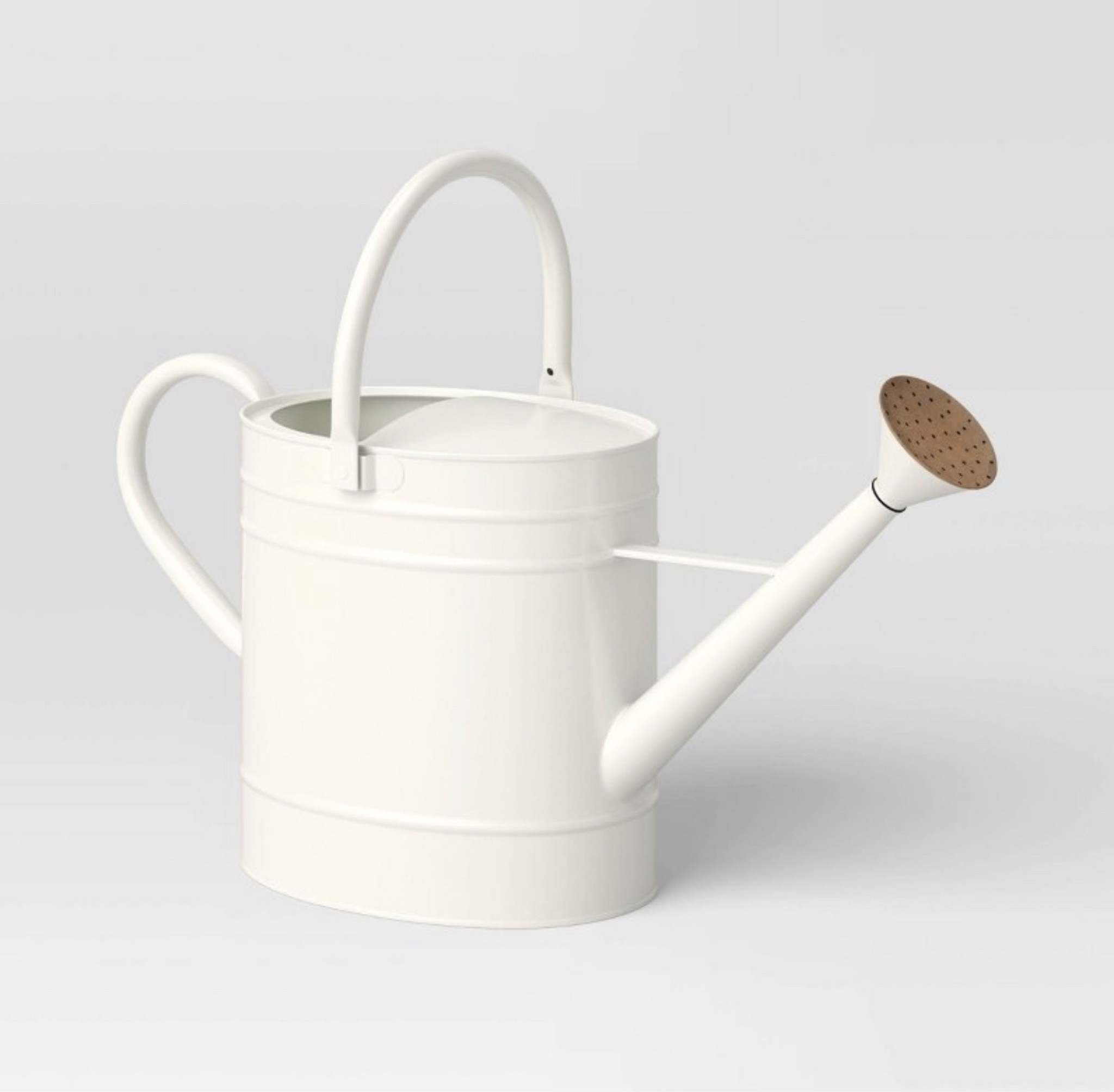 Smith & Hawken watering can on sale for $20! 

#LTKsalealert #LTKFind #LTKSeasonal