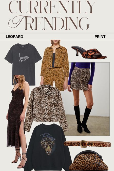 Currently Trending: Leopard Print 🐆 🐆 🐆 

#kathleenpost #leopard #leopardprint 



#liketkit #LTKstyletip #LTKSeasonal