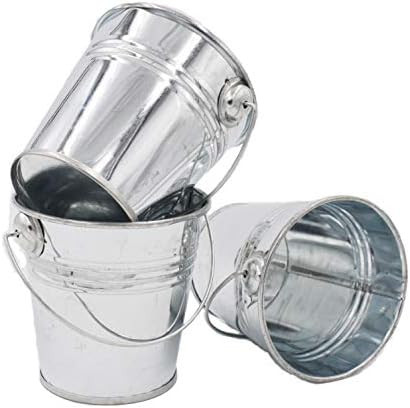Goldenvalueable Mini Metal Buckets 3.3 Inch Pails for Kids Party Gift and Gardening, Pack of 12 | Amazon (US)