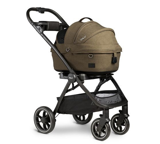 Tavo Maeve™ + Roscoe™ 3-In-1 Pet Protection System, Small Flex | Pottery Barn (US)