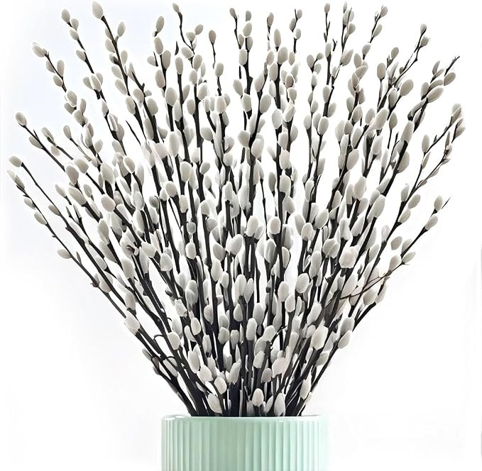 60 Stems 17＂Real Dried PussyWillow Branches for Vase, Natural PussyWillows with White Flowers, ... | Amazon (US)