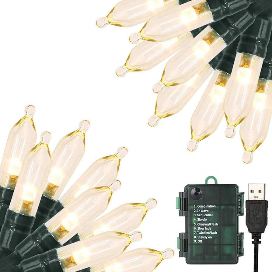 Christmas Lights 33ft 100 LED Battery String Lights with Timer Memory Function USB or Battery Pow... | Amazon (US)