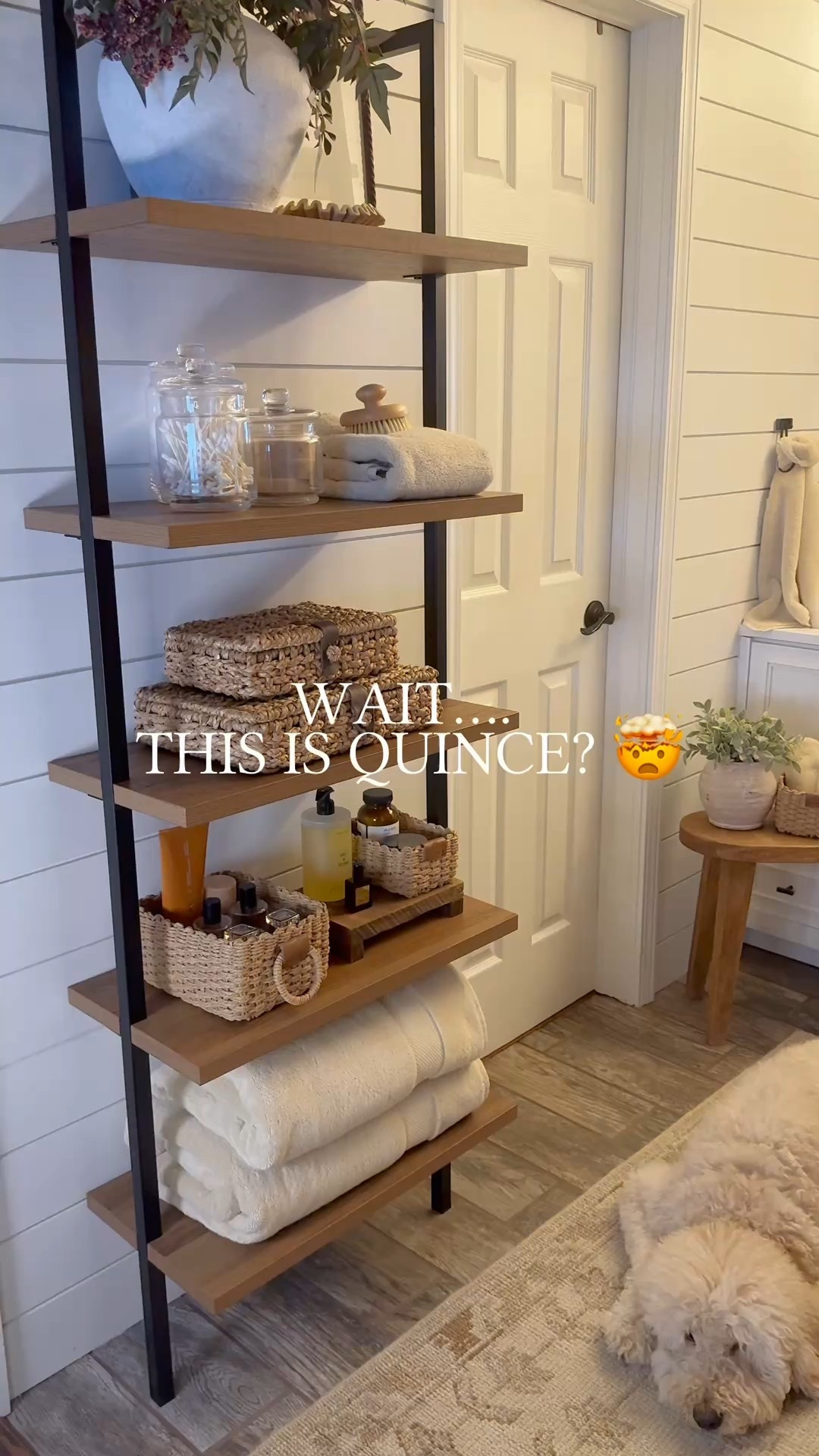 I seriously had no idea that @onequince had so many different home finds. I’ve always loved their bedding, but discovering their towels and rugs felt like such a hidden gem. #quincepartner 

Follow @farmtotablecreations on Instagram for daily home finds and styling inspiration.

My bathroom space is anchored by the Mabel 100% wool handknotted rug (3’ x 5’), and Bella clearly loves it as much as I do. She immediately claimed it as her spot, which says everything about how soft and cozy this rug is. The delicate floral motif adds a refined, elegantly modern touch while still feeling subtle and timeless.. perfect for bathrooms, bedrooms, or layered into small spaces.

I’m also obsessed with the Turkish Ultra Plush Bath Sheet Bundle in Linen. These are made from long-staple Turkish cotton, extra thick with incredible absorbency, and truly feel like wrapping up in a cloud. The bundle includes two bath sheets, two hand towels, and two washcloths, making it such a beautiful, elevated everyday upgrade for your home.

#rugs #woolrug #handknottedrug #bathroomrug #neutralhome #bathroomtowels #bathsheets #homefinds #homeinteriors #bathroom #bathroomdecor #bathroominspo #bathroomstyling #bathroomideas #bathroomdesign #neutralbathroom #modernbathroom #spabathroom #spaathome #bathroomrug #bathmat #arearug #rugs #woolrug #handknottedrug #neutralrug #bathsheets #bathroomtowels #turkishcotton #luxurytowels #plushbath #homefinds #homedecor #homeinspo #modernorganic #warmneutrals #quincehome

#LTKSaleAlert #LTKHome #LTKFindsUnder100