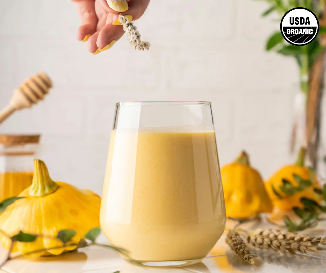 Nourish Chocolate Starter Kit | MUD\WTR