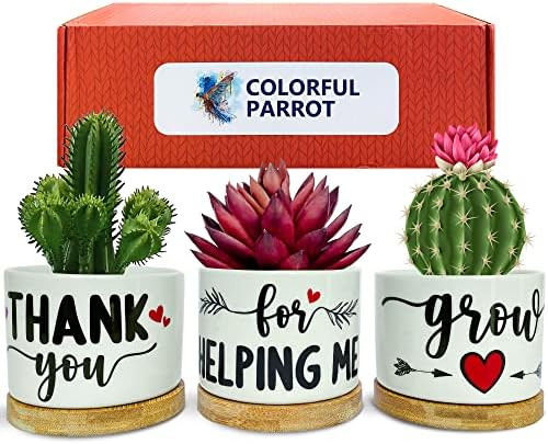 Teacher Gifts - Gifts For Christmas - Teacher Appreciation Gifts - Teacher Gifts for Women - End of  | Amazon (US)