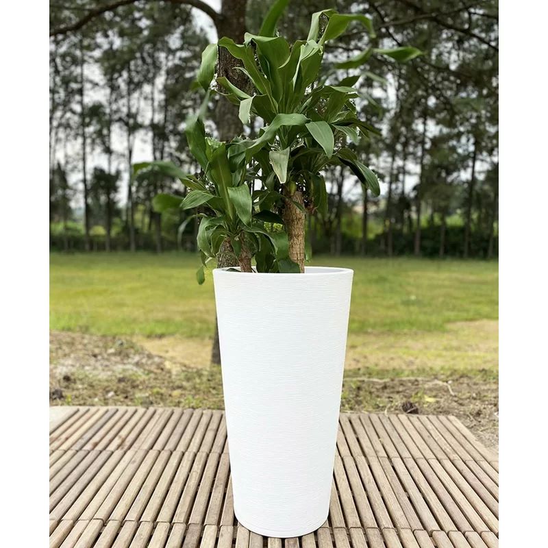 Genebra Pot Planter | Wayfair North America