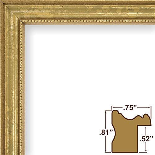 Craig Frames 314GD, Ornate Gold Picture Frame, 8.5 x 11 Inch | Amazon (US)