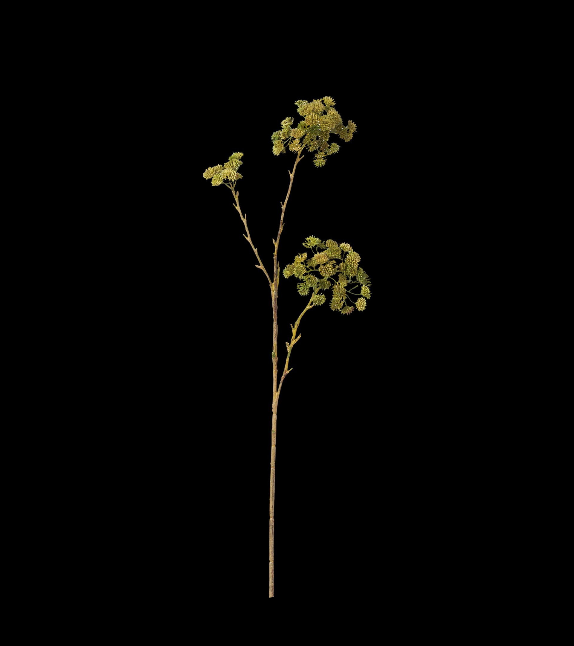 Faux Sedum Stem - Green | OKA UK