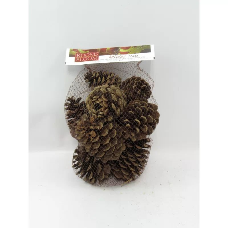 Cinnamon Scented Pine Cone | Wayfair North America