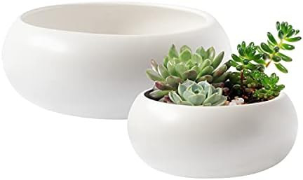 Royal Imports Flower Ceramic Vase, Bowl Terrarium Succulent Planter, Air Plant Display, Decorativ... | Amazon (US)