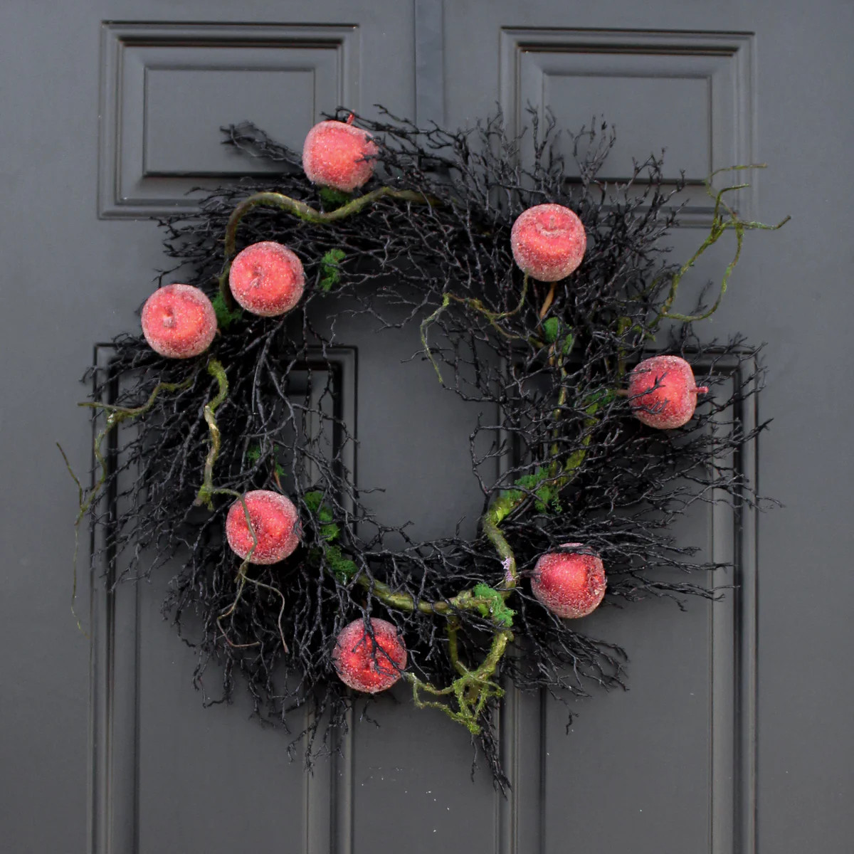 Enchanted Orchard - Faux Apple & Black Glitter Wispy Birch Twig Front Door Halloween Fall Wreath | Darby Creek Trading