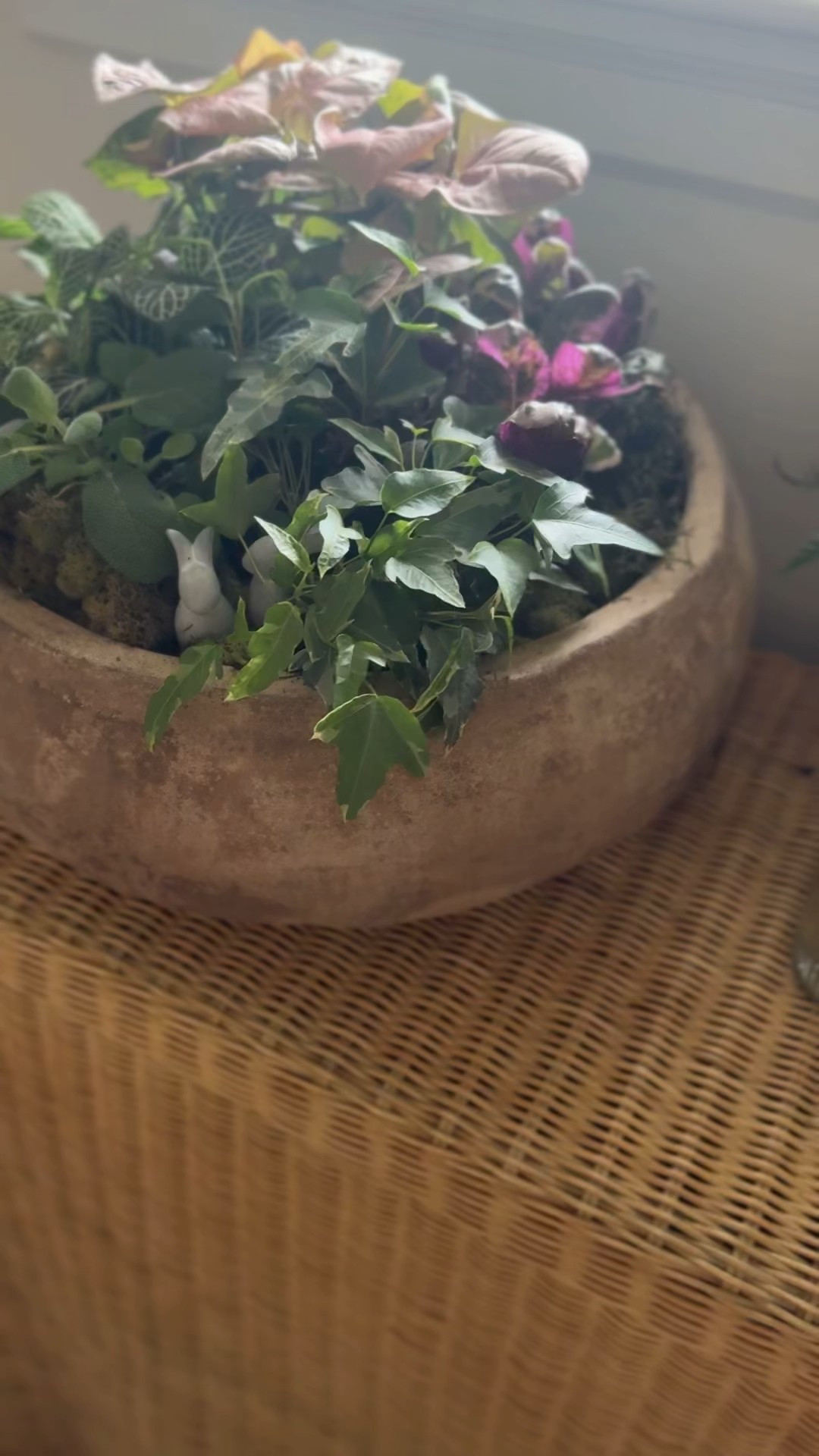 These little bunnies are on sale for $7! #gardening #easter #homedecor 

#LTKSeasonal #LTKSaleAlert #LTKHome