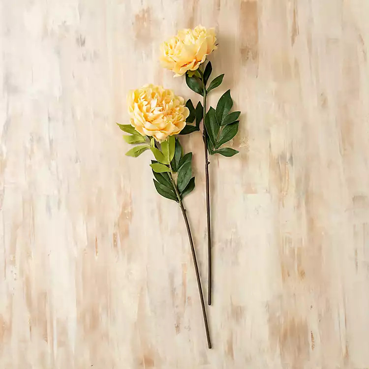 Kirkland's | Kirkland's Home