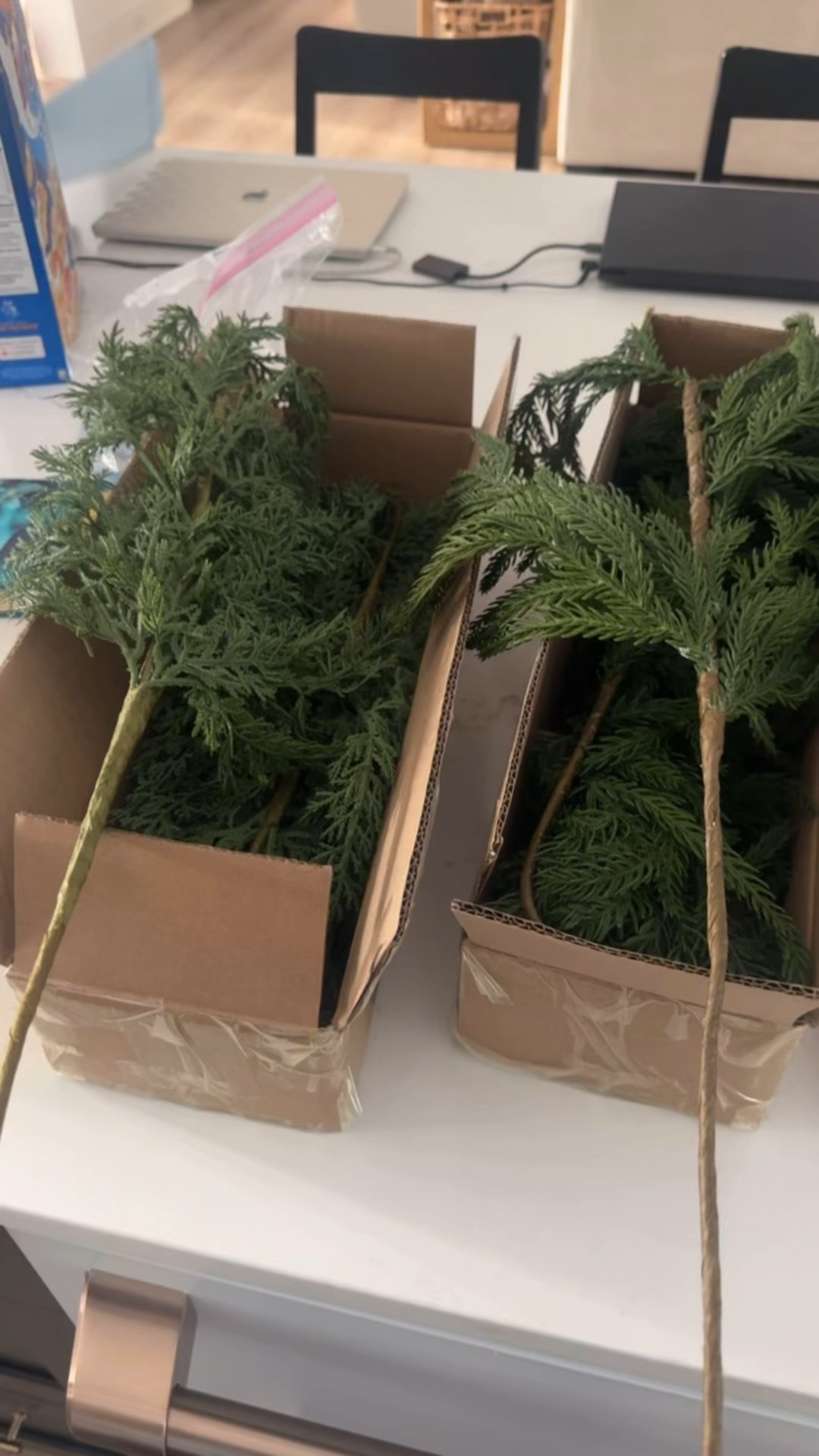 Opening some packages from Walmart! Lots from the new my Texas house Christmas Holiday Line

#LTKSaleAlert #LTKSeasonal #LTKHome