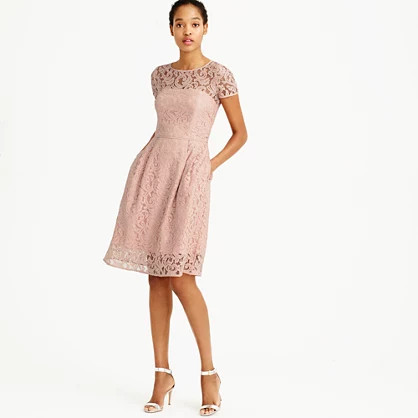 Alisa dress in Leavers lace | J.Crew US