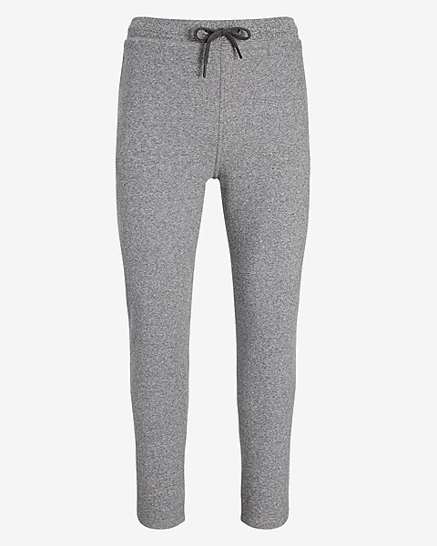 Solid Heavy Knit Joggers | Express