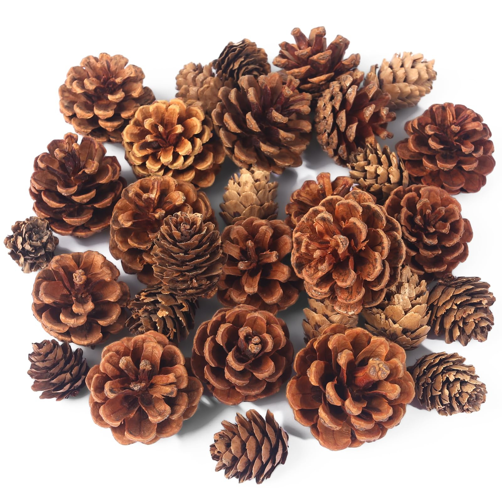 JOHOUSE 30PCS Christmas Pine Cones, Natural Pinecones for Crafts Assortment Rustic Pine Cones for... | Amazon (US)