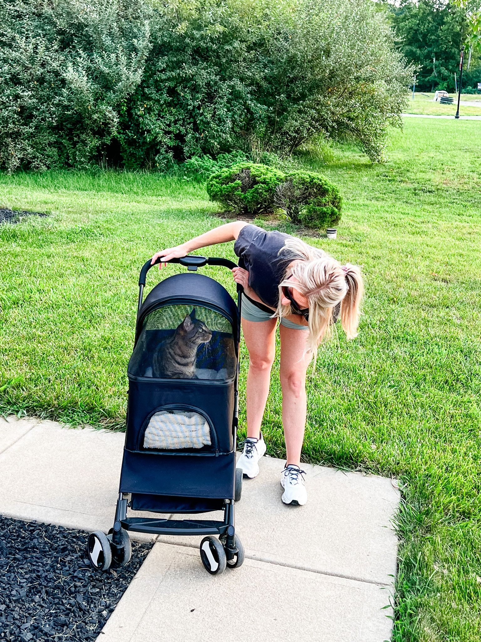 Vito loves his pet stroller 

Dog stroller
Cat stroller 

#LTKhome