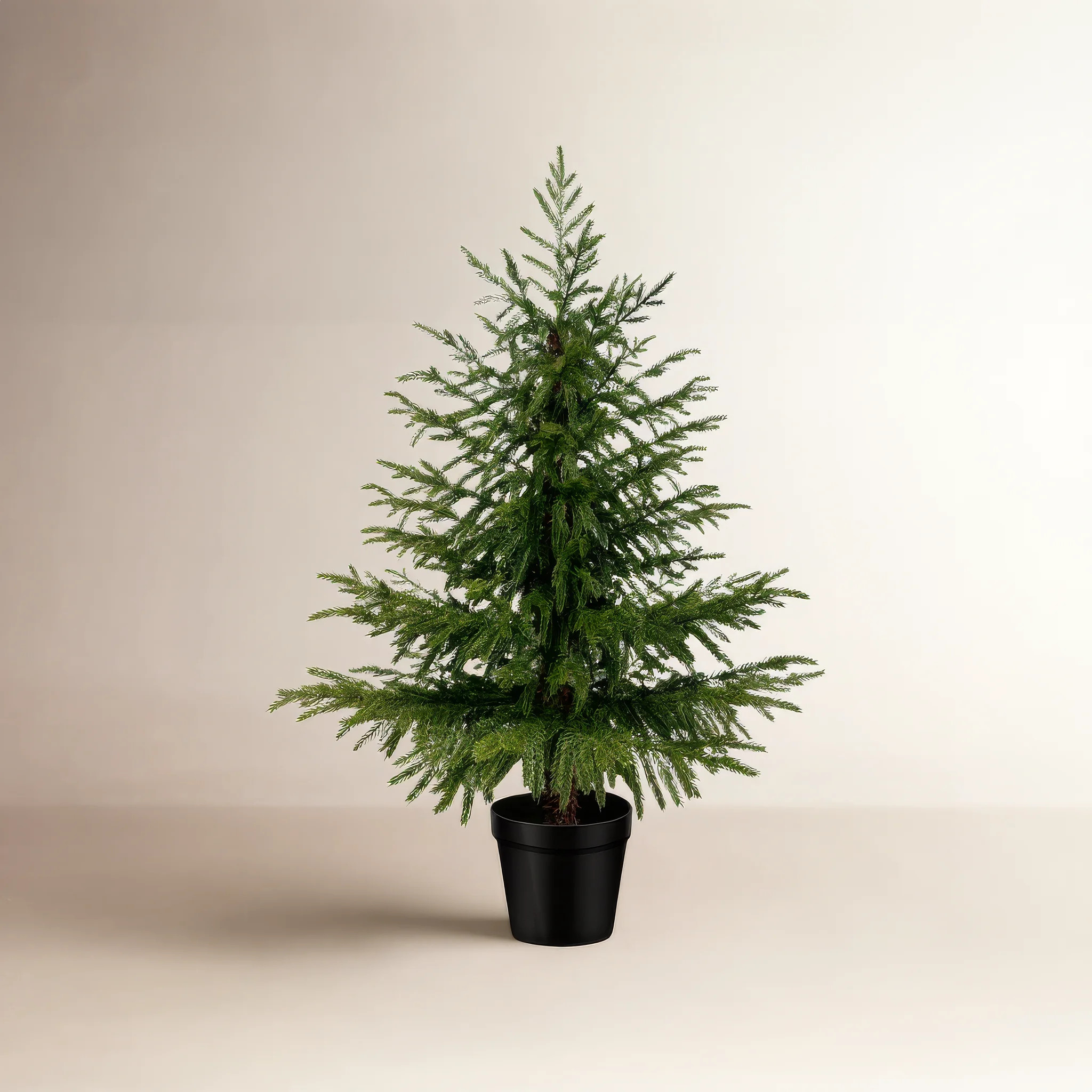 Artificial Norfolk Pine Christmas Tree With Natural Look | Wayfair North America