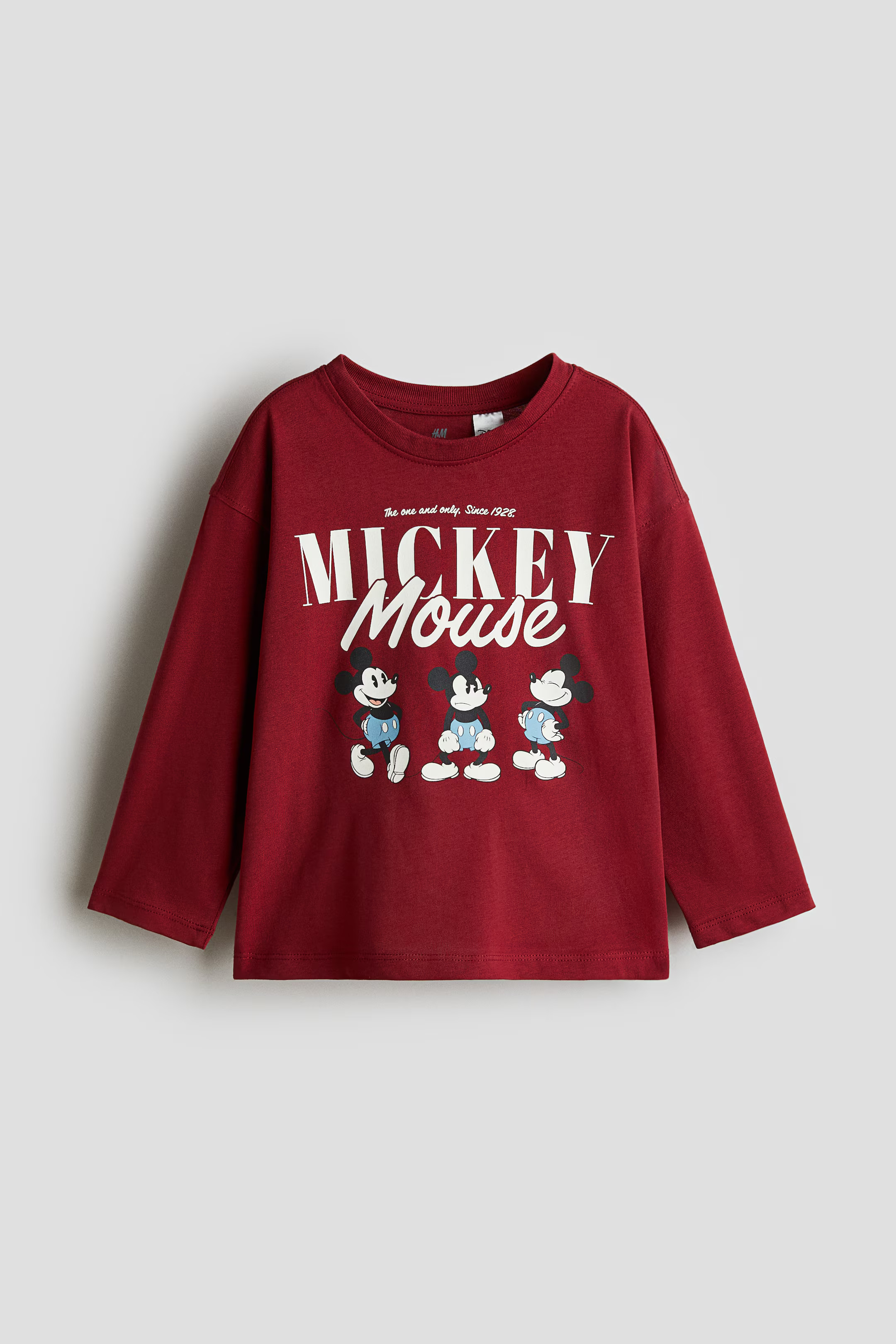 Long-Sleeved T-shirt | H&M (US + CA)