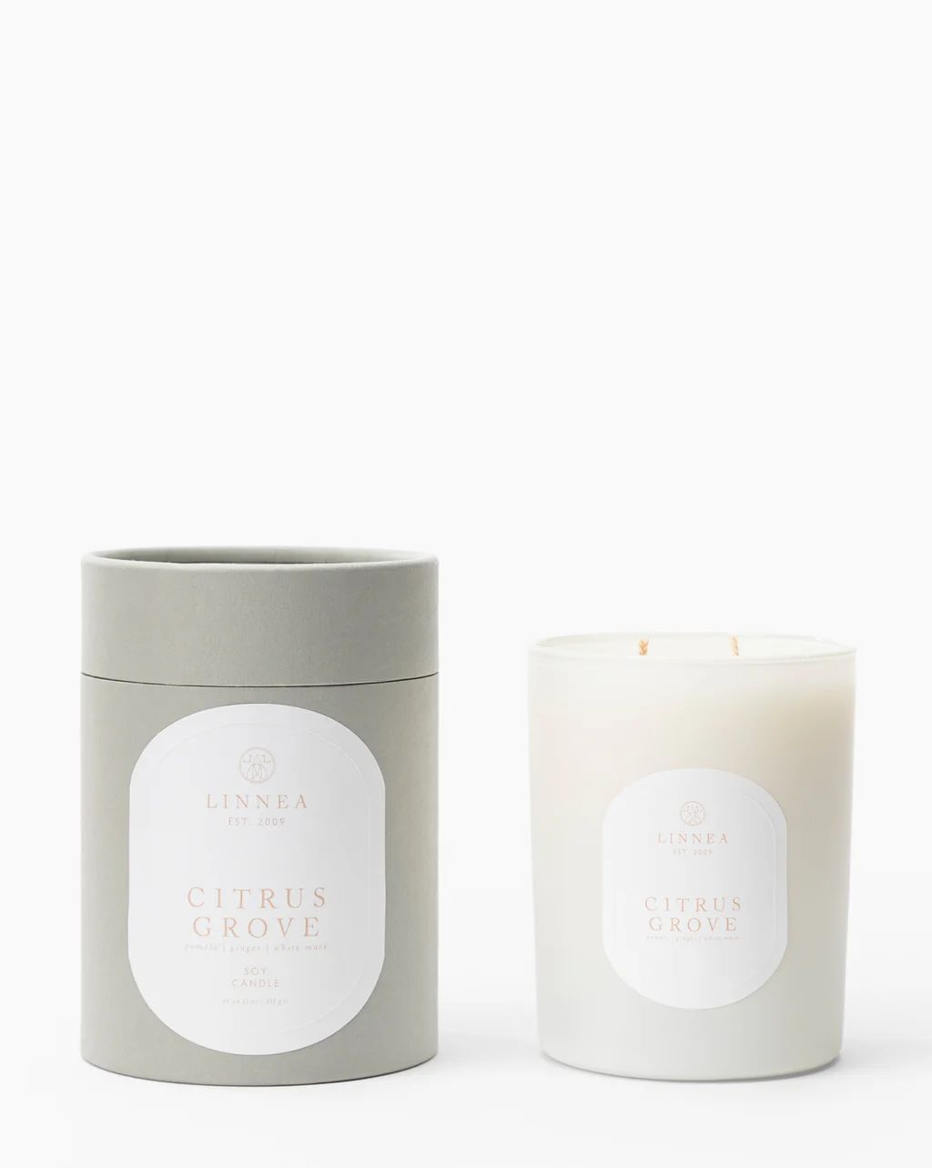 Citrus Grove 2-Wick Candle | McGee & Co.