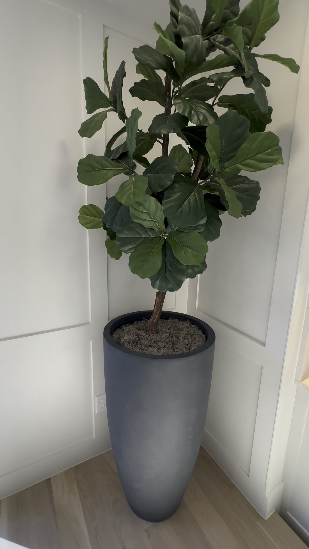 I LOVE large and impactful decor pieces for less! 
My planters are HomeGoods finds, but I’ve tagged everything you need to affordably get the look! 
Love the fiddle leaf and elephant ear faux trees. 
I built my planters up with bunches of firm paper stuffing to give everything a nice height 🫶🏾