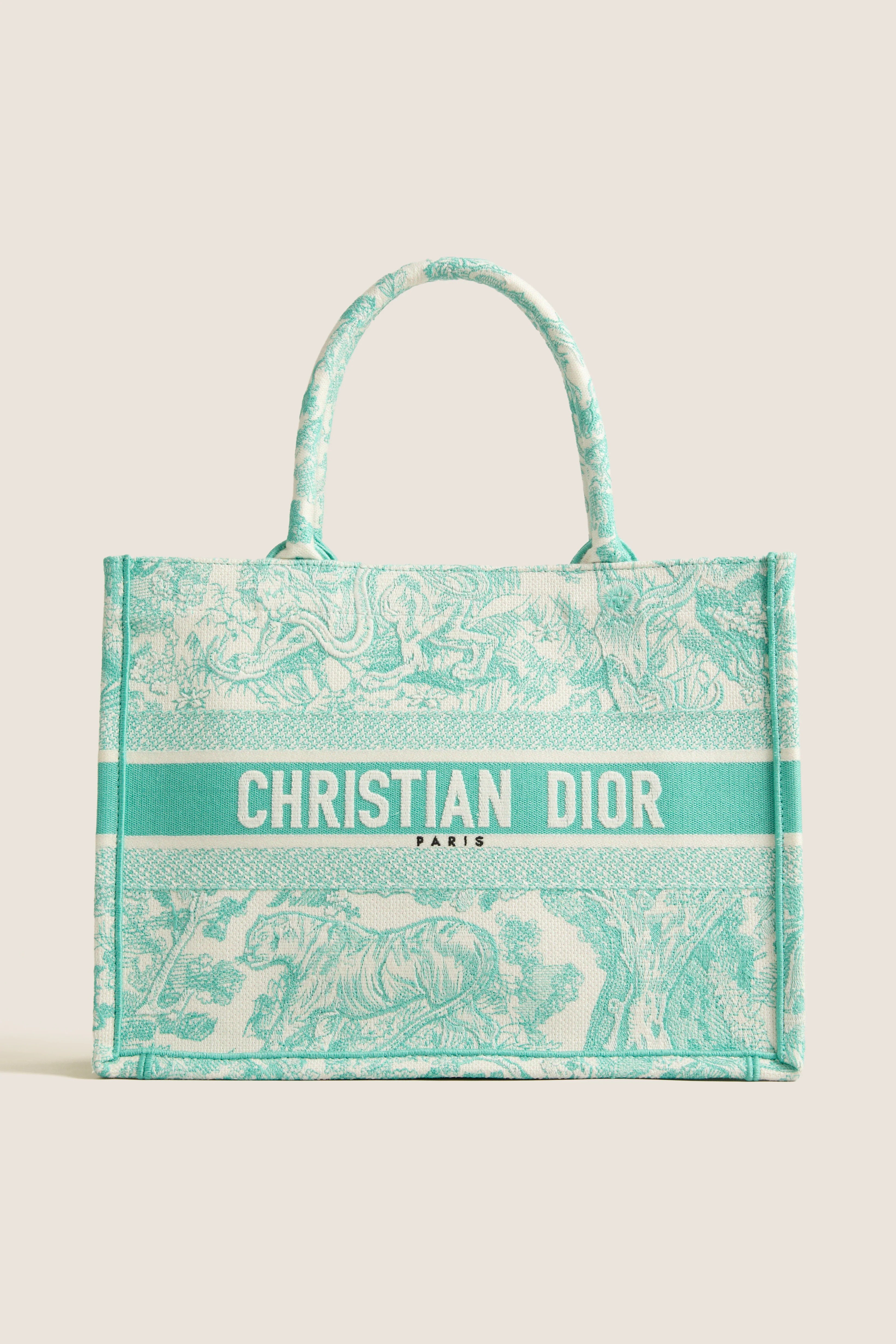 DIOR Aquamarina Canvas Embroidered Medium Dioriviera Toile De Jouy Book Tote | Tuckernuck (US)