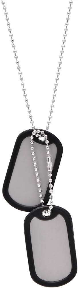 Stainless Steel Dog Tags Military Set Complete with Chains & Black Silencers | Amazon (US)