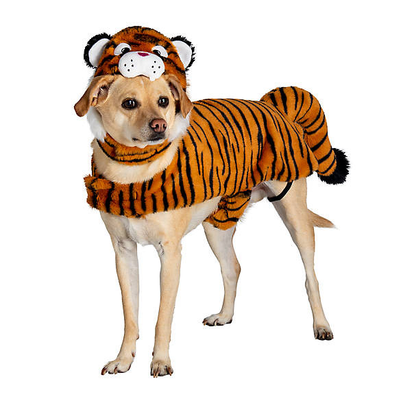 Thrills & Chills&trade; Halloween Tiger Dog & Cat Costume | PetSmart
