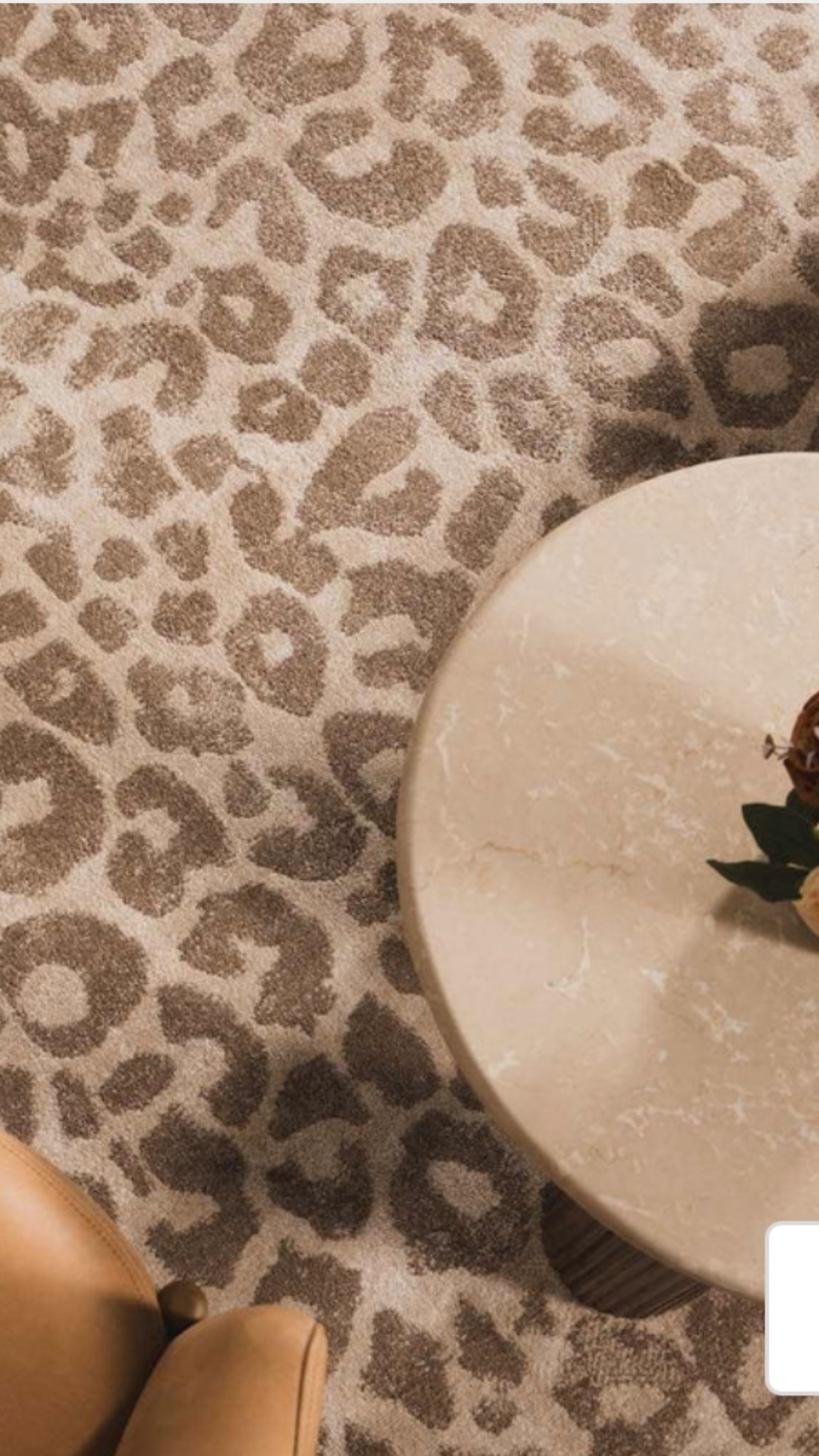 Love this gorgeous leopard area rug! I picked it for my mother-in-law’s living room! Subtle but makes a statement!

#LTKStyleTip #LTKHome #LTKSaleAlert
