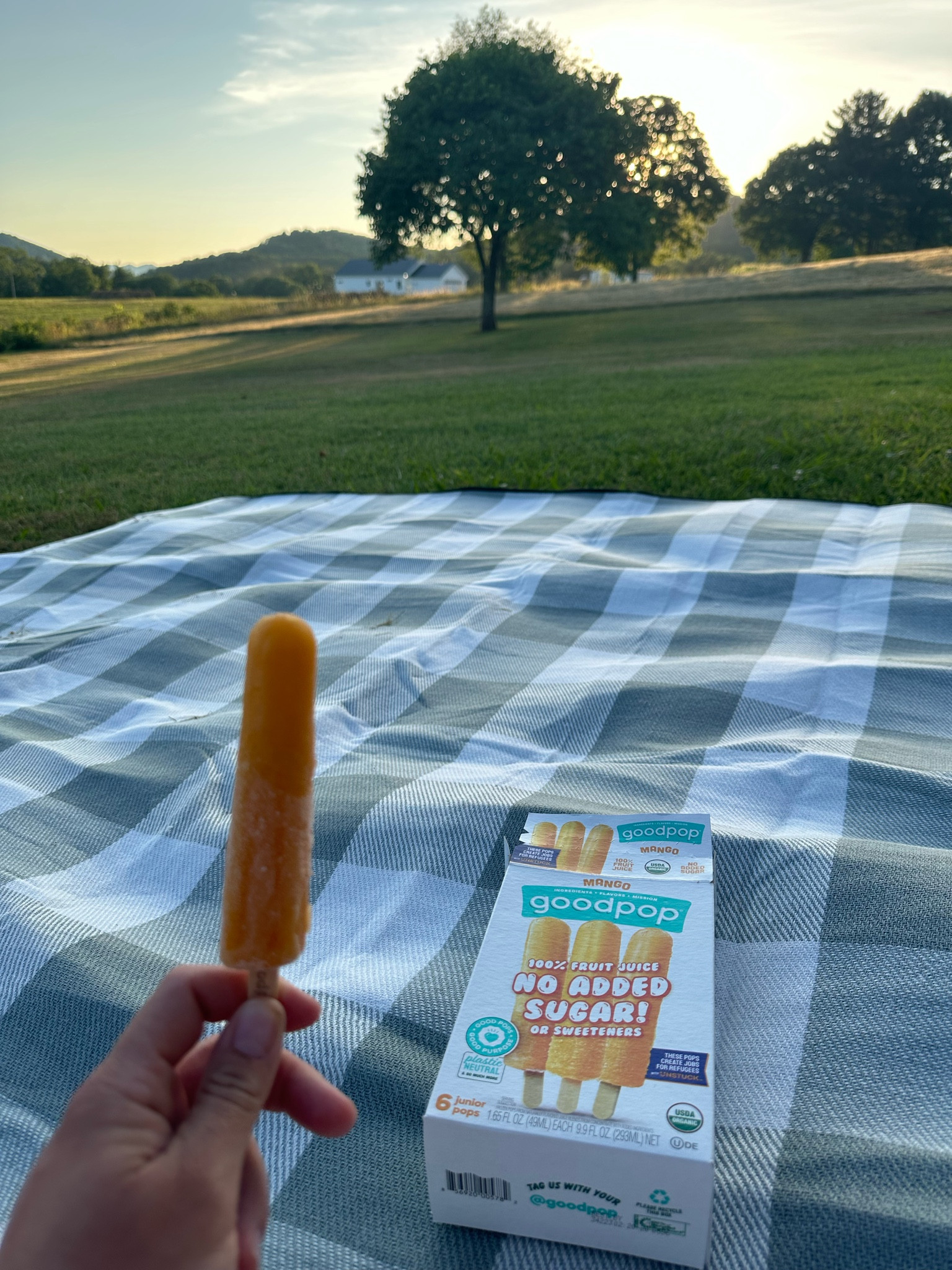 The perfect no sugar added  frozen treats! 

#LTKFamily #LTKSummerSales #LTKSeasonal